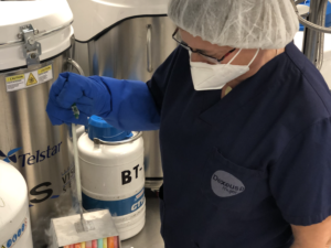 Gamete and embryo vitrification