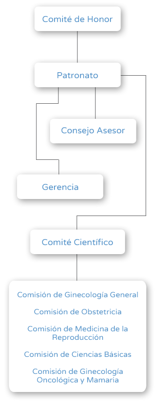 Organigrama - Fundación Dexeus Mujer