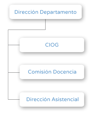Organigrama - Dirección Departamento