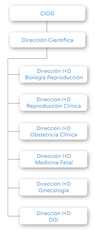 Organigrama - CIOG