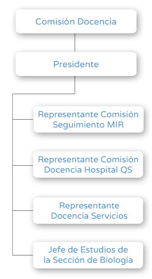 Organigrama - Comisión Docencia