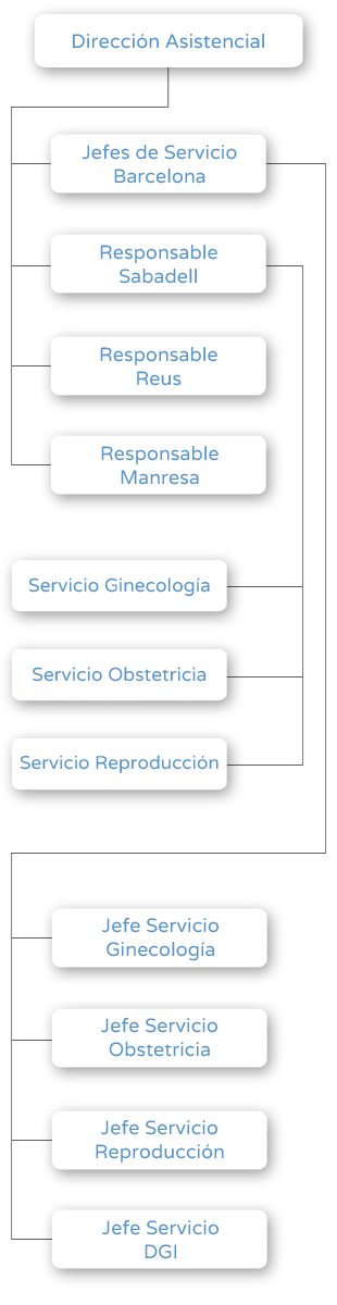 Organigrama - Dirección Asistencial