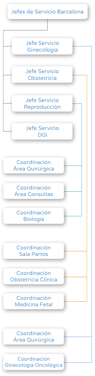 Organigrama - Jefes de Servicio Barcelona