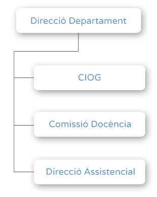 Organigrama - Direcció Departament