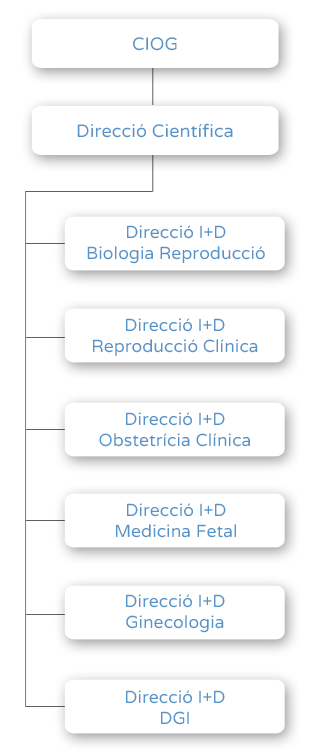 Organigrama - CIOG