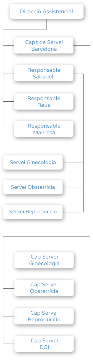 Organigrama - Direcció Assistencial