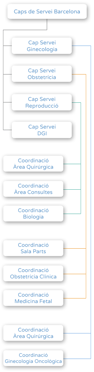 Organigrama - Caps de Servei Barcelona