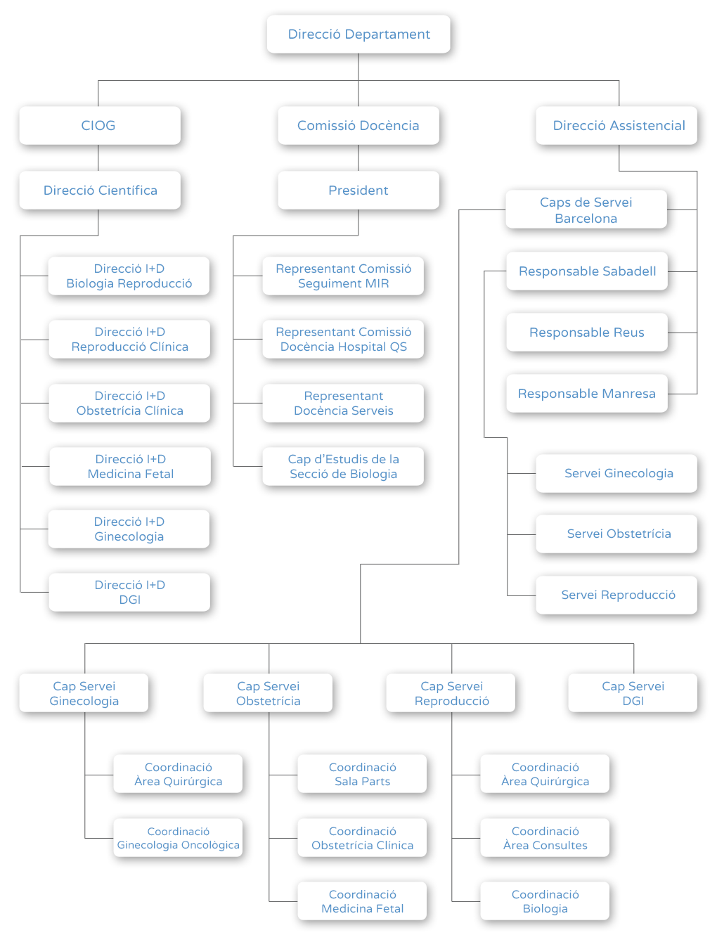 Organigrama Departament d'Obstetrícia, Ginecologia i Reproducció