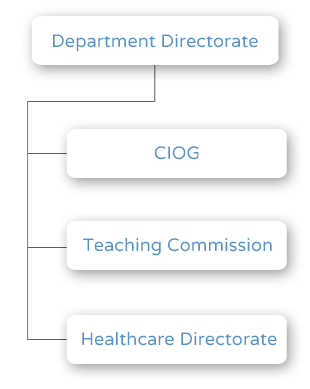 Obstetrics, Gynaecology and Reproduction Department Organization Chart