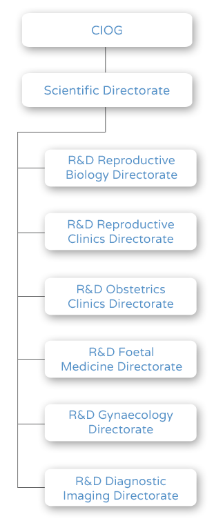 Obstetrics, Gynaecology and Reproduction Department Organization Chart