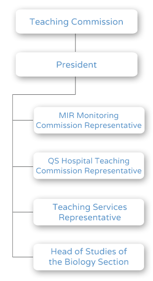 Obstetrics, Gynaecology and Reproduction Department Organization Chart
