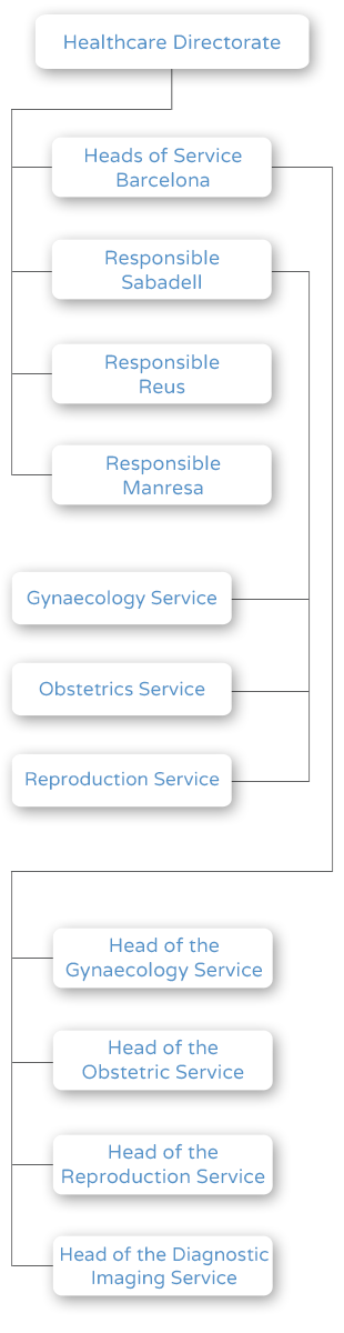 Obstetrics, Gynaecology and Reproduction Department Organization Chart