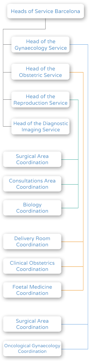 Obstetrics, Gynaecology and Reproduction Department Organization Chart