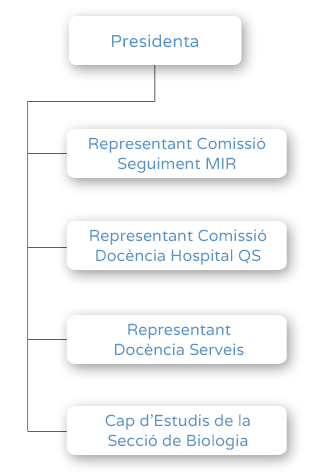 Organigrama - Comissió Docència