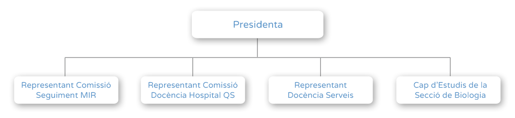 Organigrama - Comissió Docència