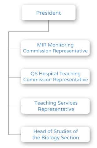 Organization chart - Teaching Commission