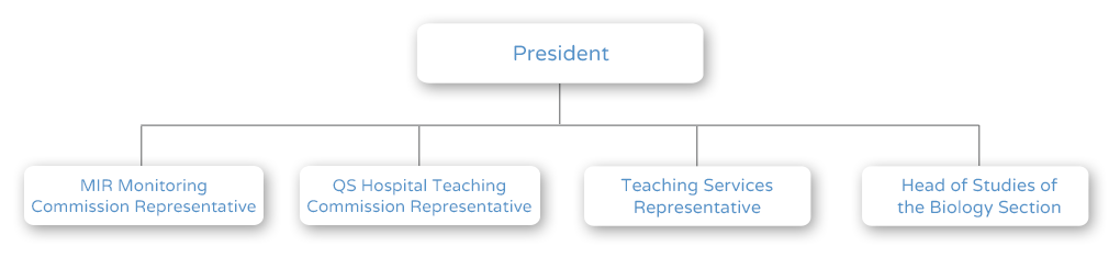 Organization chart - Teaching Commission