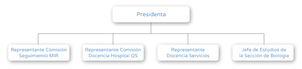 Organigrama Comisión de Docencia