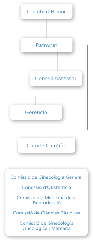 Organigrama - Fundació Dexeus Dona