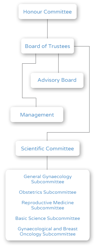 Organisation chart - Dexeus Mujer Foundation