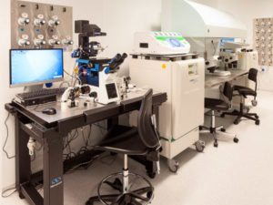IVF laboratory optimization: from theory to practice