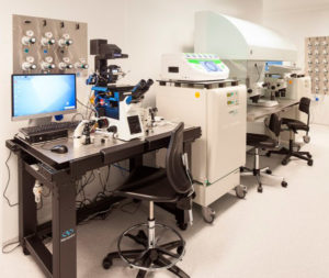 IVF laboratory optimization: from theory to practice