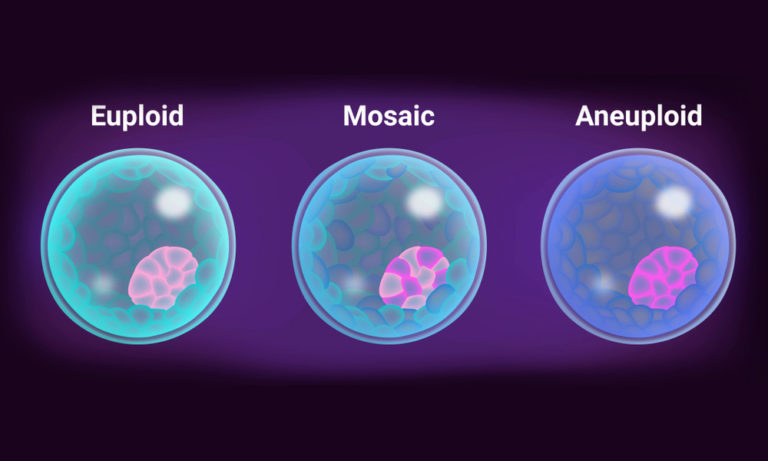 Impacto de la técnica de biopsia embrionaria en la prevalencia de mosaicismo