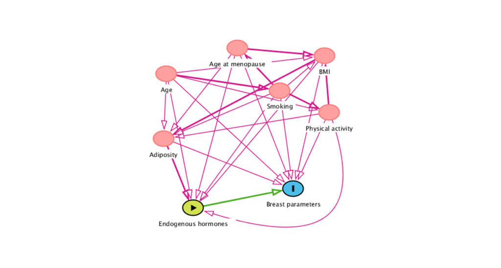 Un estudio analiza la asociación entre niveles hormonales y densidad mineral ósea en la postmenopausia