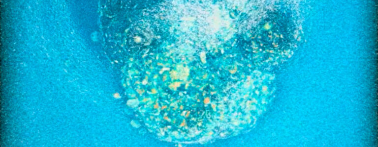Graban por primera vez el proceso de implantación de un embrión humano en tiempo real