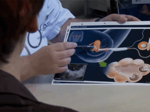 Diagnóstico y manejo de los Problemas de Fertilidad: Fundamentos para la Práctica Clínica